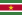 Suriname.png